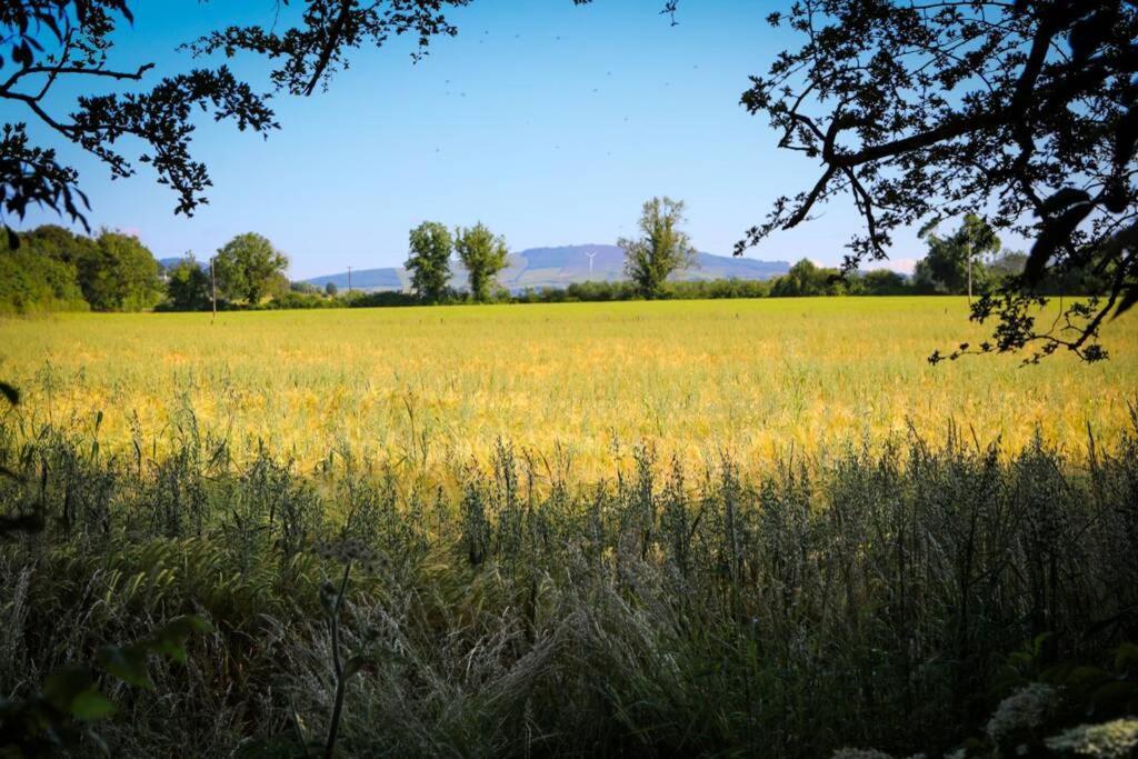 5* Self Catering Villa Nenagh Bagian luar foto